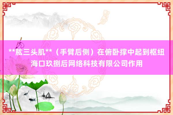 **肱三头肌**(手臂后侧)在俯卧撑中起到枢纽海口玖捌后网络科技有限公司作用