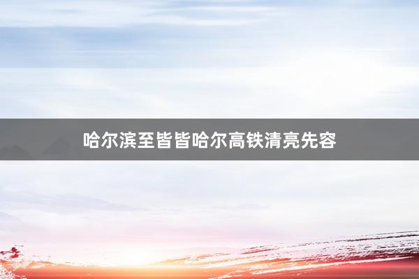 哈尔滨至皆皆哈尔高铁清亮先容