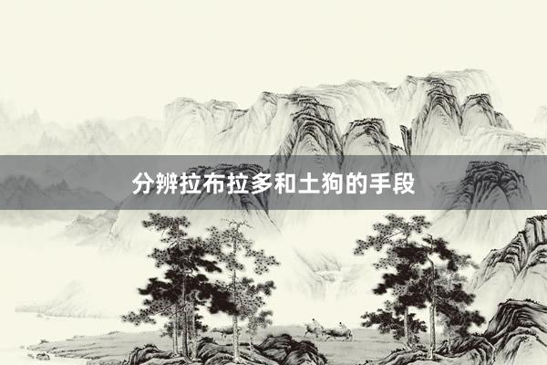 分辨拉布拉多和土狗的手段