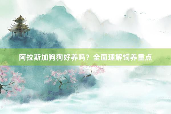 阿拉斯加狗狗好养吗？全面理解饲养重点